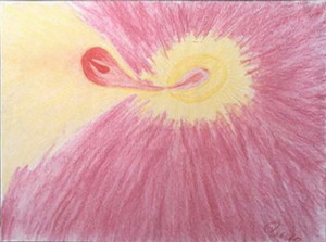 Title: Strange, Style: Primitive, Medium: Pastel on Paper, Size: 18" x 24" (46 cm x 61 cm), Created: 1992 January, Accession #92/5D