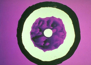 Title: In, Style: Symbolic, Medium: Acrylic on Canvas, Size: 40" x 30" (102 cm x 76 cm), Created: 1989, Accession #89/3